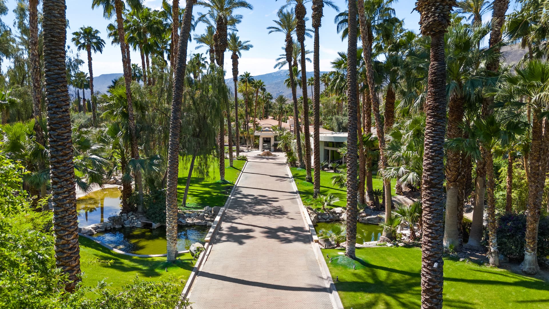 Palm-lined drive and landscaped grounds at 3 Mozart Lane