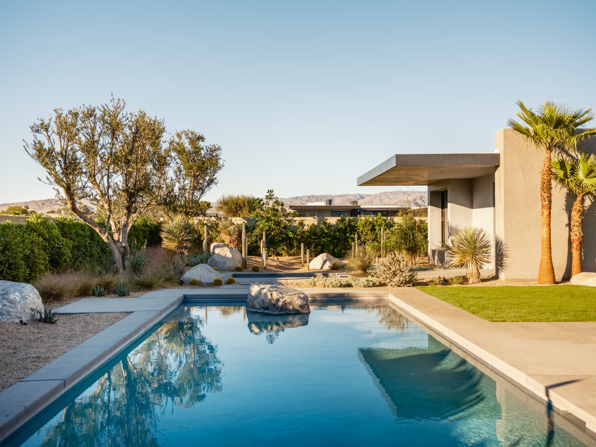 Pool, olive tree and mountain setting at 3 Echo Lane